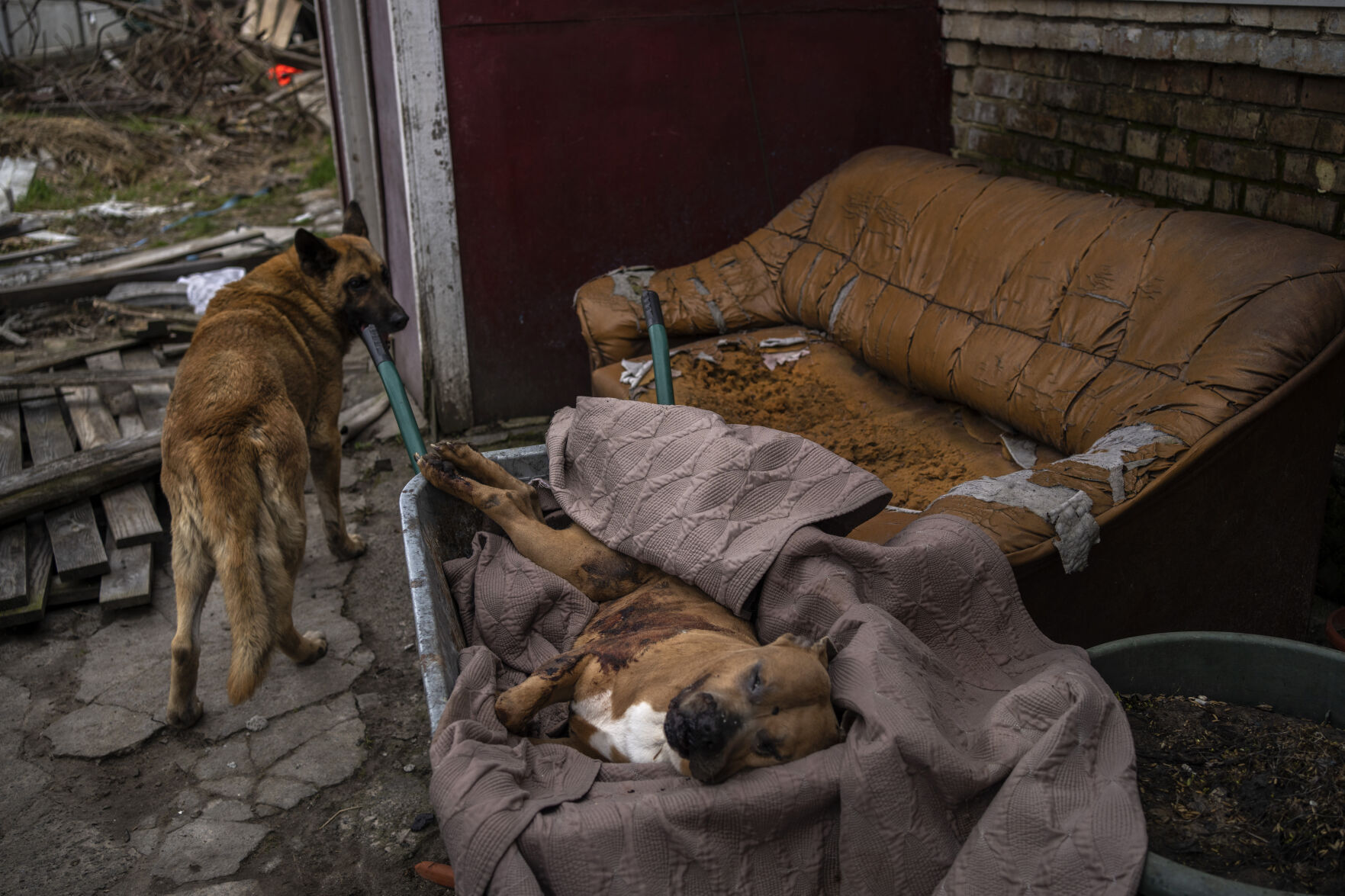 Russia Ukraine War A Walk Through Bucha